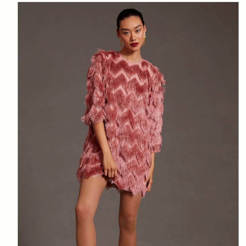 Hutch fringed chevron dress